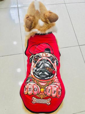 ÁO CHÓ LỚN PUG LIFE SIÊU COOL (18 - 70)kg