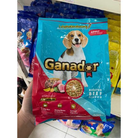 HẠT CHO CHÓ LỚN GANADOR - VỊ BÒ NƯỚNG (400G)