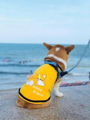 ÁO BA LỖ CORGI (1-20kg)z6353702767922_daf1279fa60719d9f59cee8c2aec9085