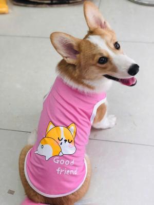 ÁO BA LỖ CORGI (1-20kg)z6353702850246_de7780e001c22adc110a870c53730daf