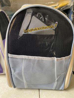 BALO “HELLO CAT”  MÀU TÍM (DƯỚI 6kg)z6418554613511_191d0139c730f13f8f54f304246cc89b