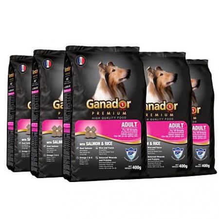 HẠT CHO CHÓ LỚN GANADOR - VỊ CÁ HỒI (400G & 1,5KG)