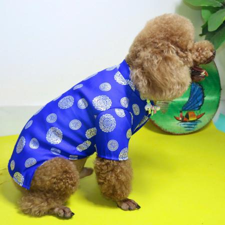 ÁO DÀI TẾT HOẠ TIẾT ĐỒNG TIỀN - XANHz6440162403107_4c047c738048c7cad297b997b443b7af